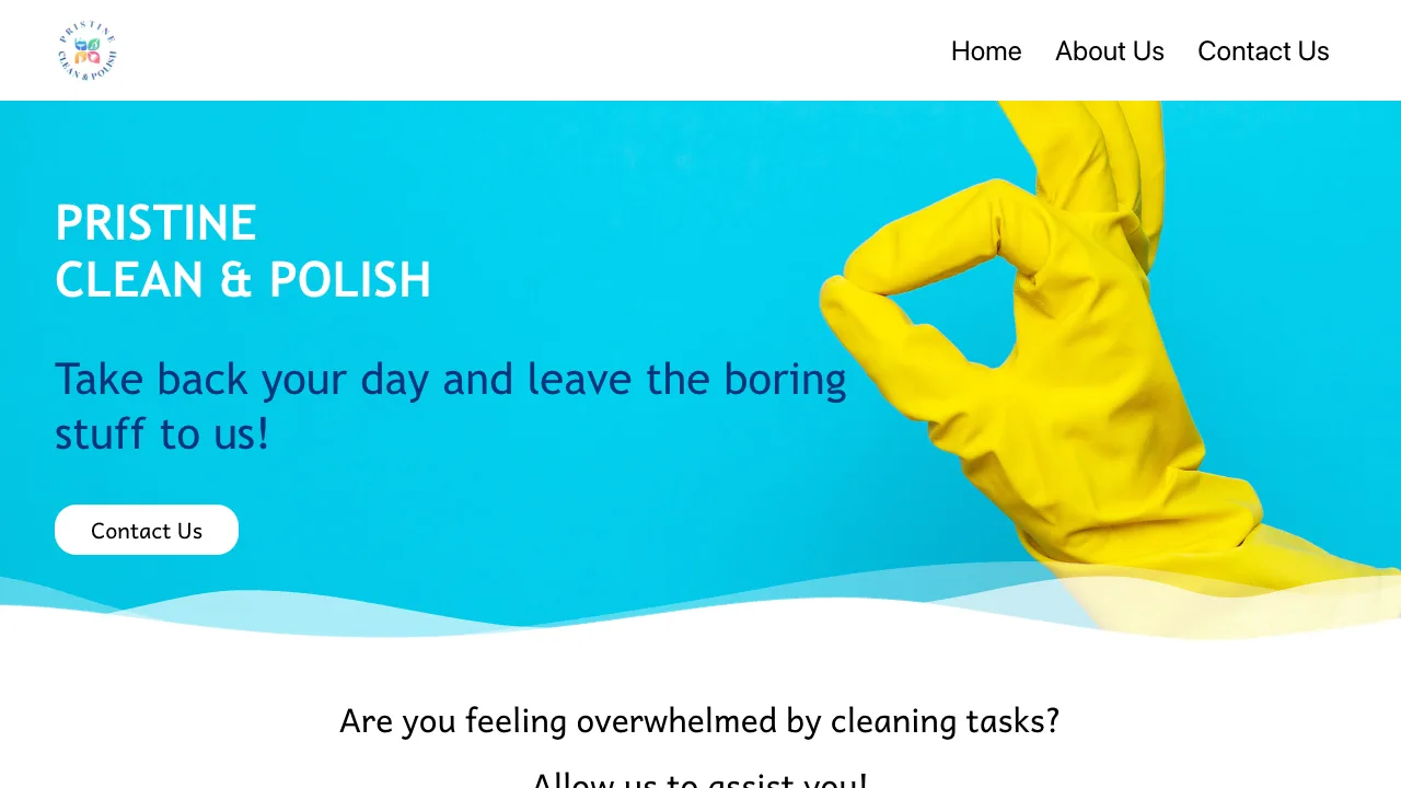Screenshot of the Pristine Clean and Polish website hero section